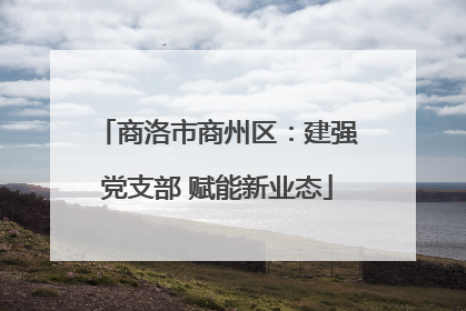 商洛市商州区：建强党支部 赋能新业态